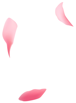 petals-bg11.png