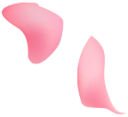 petals-bg31.png